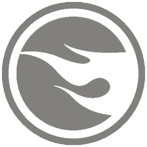 Logo Treasure Hunt Hot Wheels llama plateada